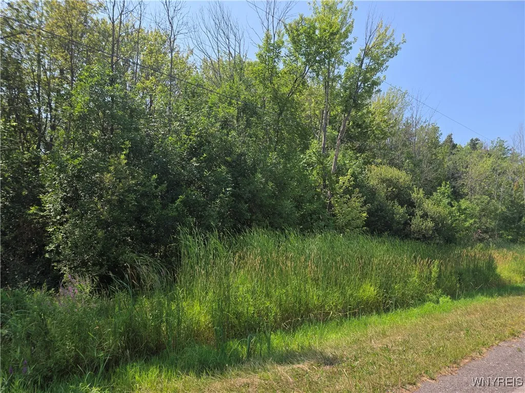0 Carmen Road, Somerset, New York 14012, Somerset, New York 14012, ,Land,For Sale,0 Carmen Road, Somerset, New York 14012,B1620336