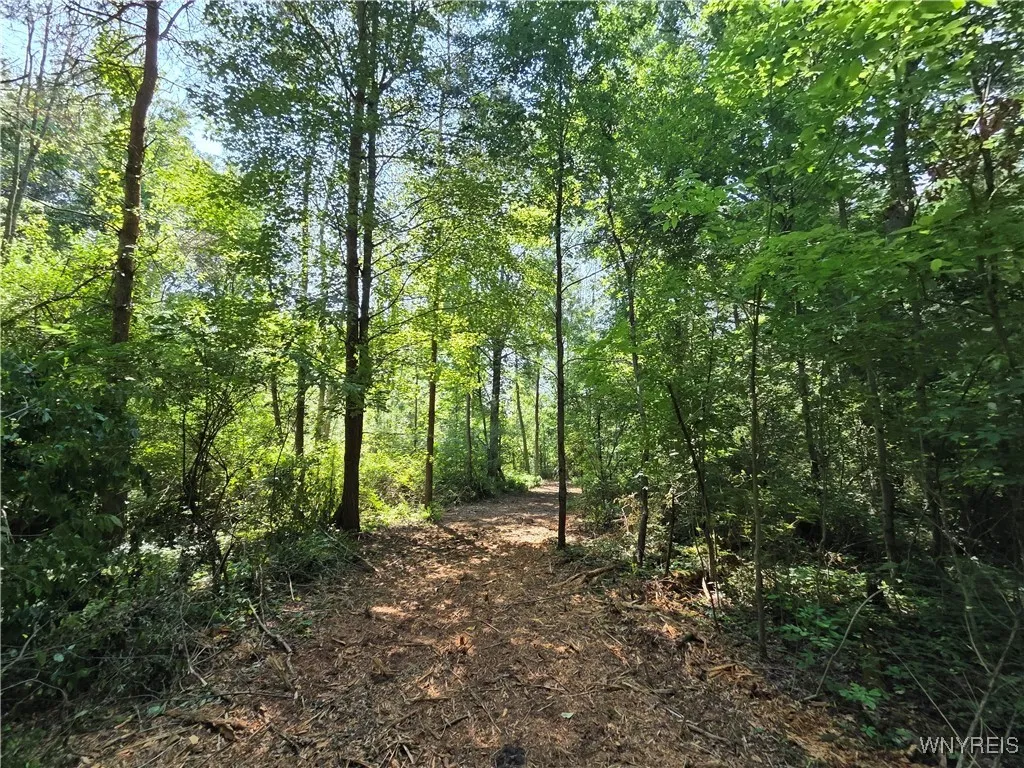 0 Carmen Road, Somerset, New York 14012, Somerset, New York 14012, ,Land,For Sale,0 Carmen Road, Somerset, New York 14012,B1620336