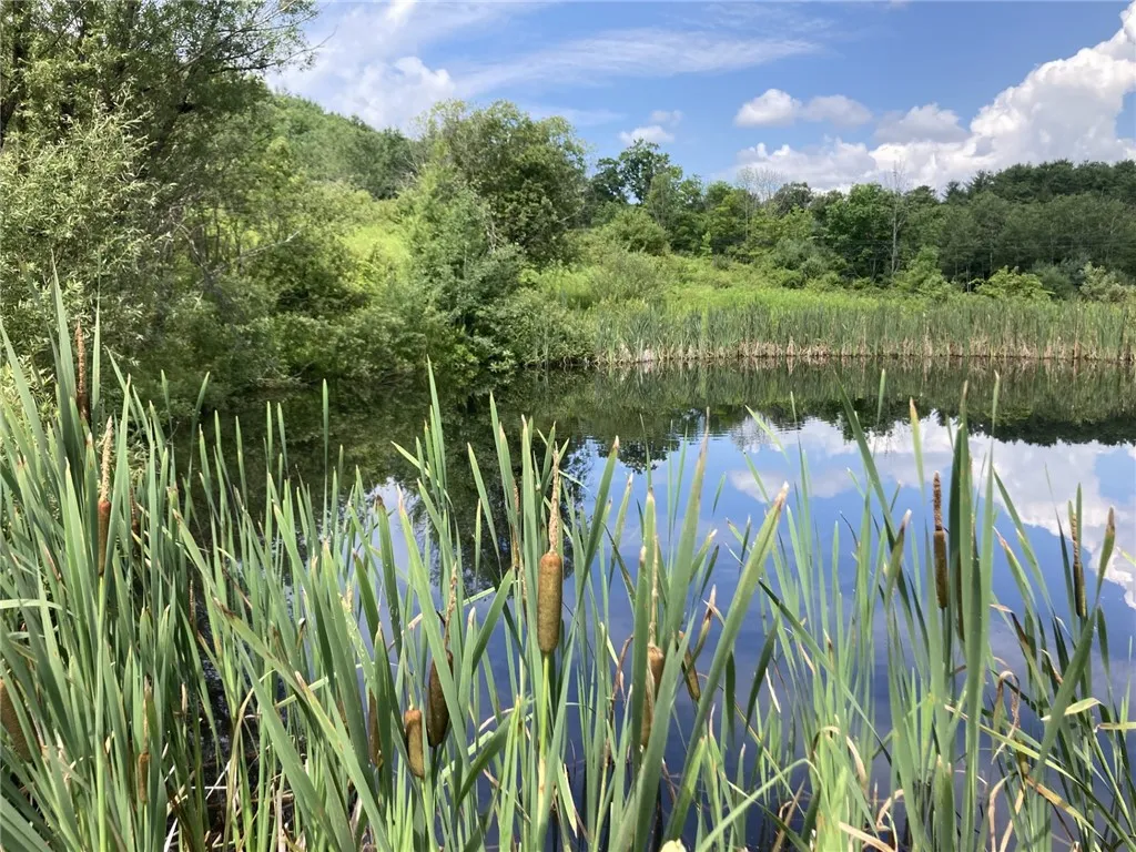 751 County Rd 17, Bainbridge, New York 13733, Bainbridge, New York 13733, 3 Bedrooms Bedrooms, 6 Rooms Rooms,1 BathroomBathrooms,Residential,For Sale,751 County Rd 17, Bainbridge, New York 13733,R1621253