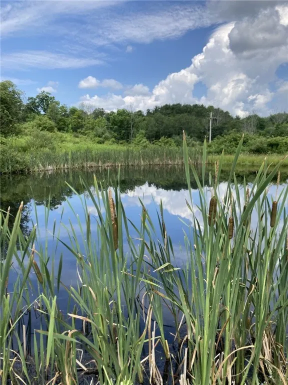 751 County Rd 17, Bainbridge, New York 13733, Bainbridge, New York 13733, 3 Bedrooms Bedrooms, 6 Rooms Rooms,1 BathroomBathrooms,Residential,For Sale,751 County Rd 17, Bainbridge, New York 13733,R1621253
