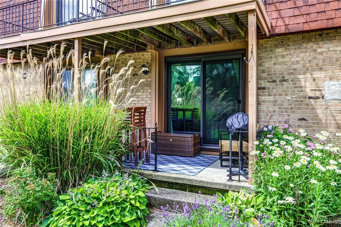 Back Patio