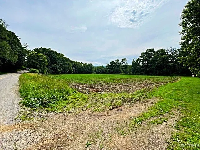 Lower Acreage
