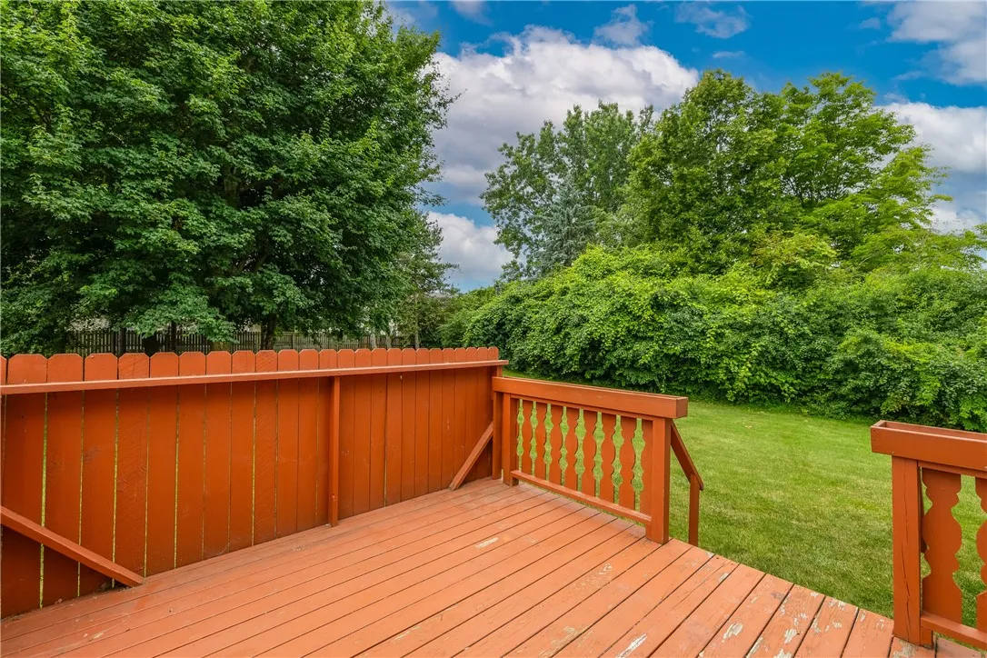 Back deck
