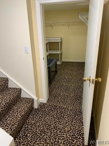 Basement closet