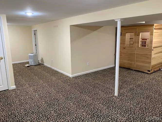Full basement with Sauna