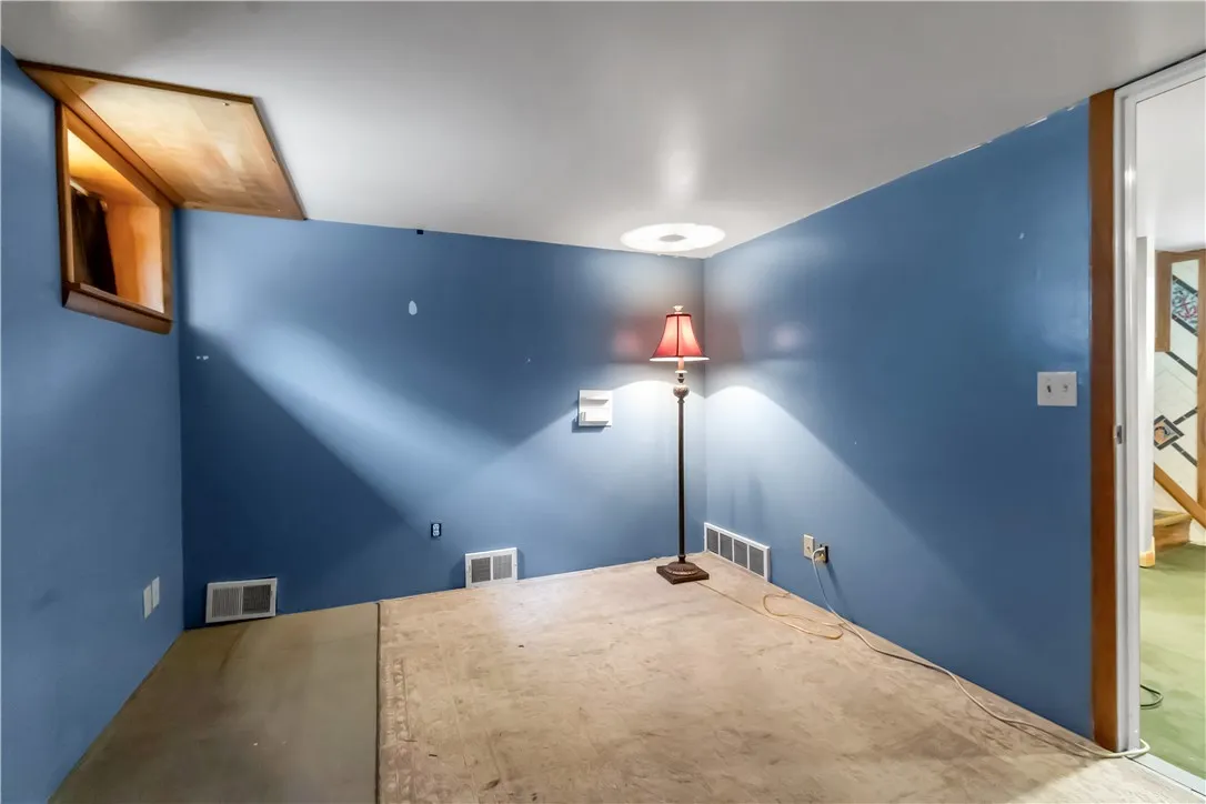 BASEMENT FLEX SPACE