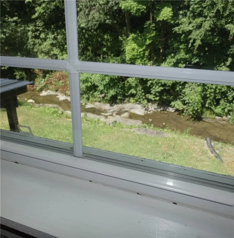 View of Creek Through Kitchen Window