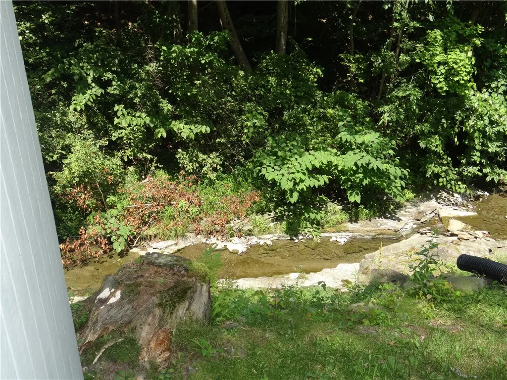 Creek Behind Home