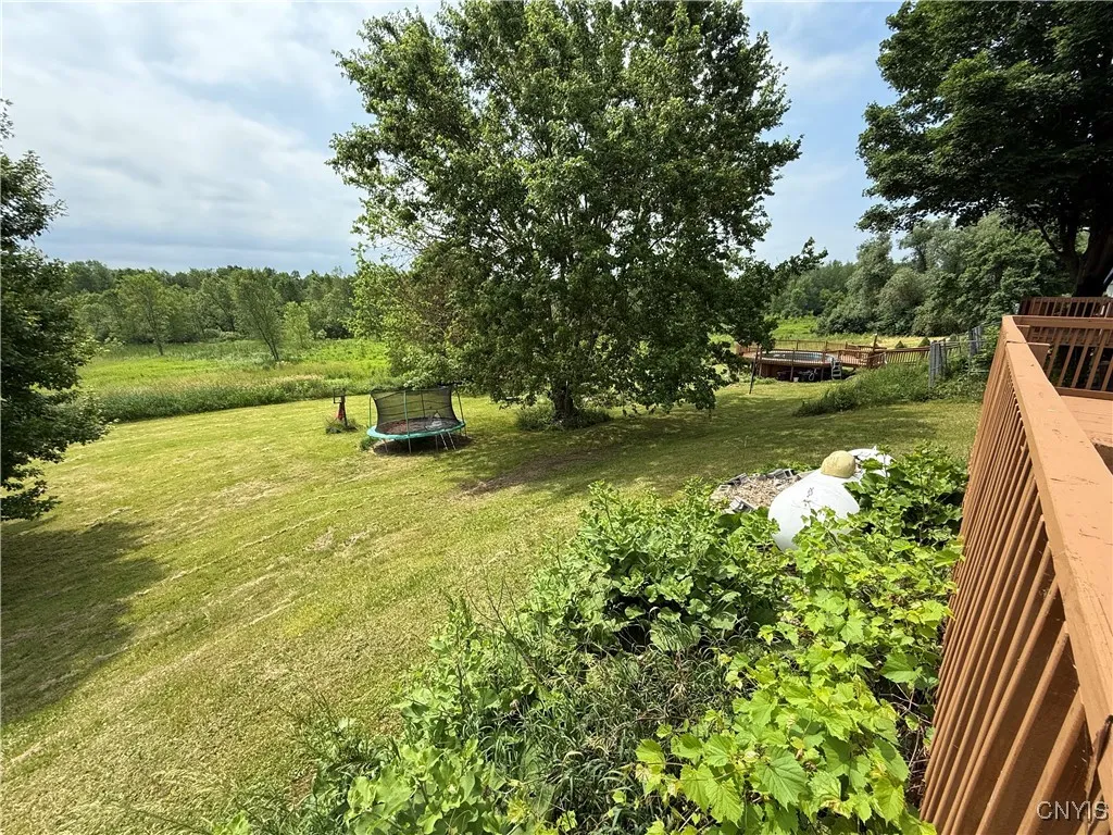 back yard