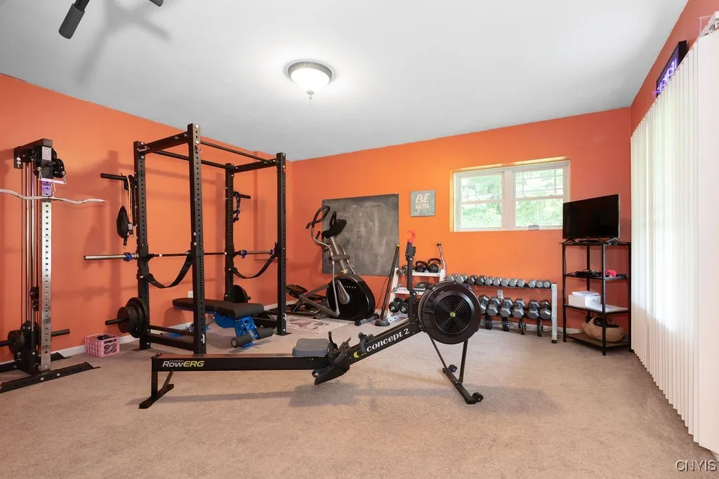 5th Lower Level Gym/Bonus Room/ Bedroom.