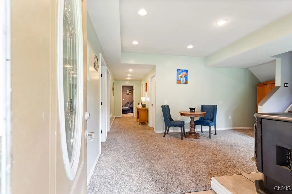 Lower Level Entry from Rear Yard into Living Room.