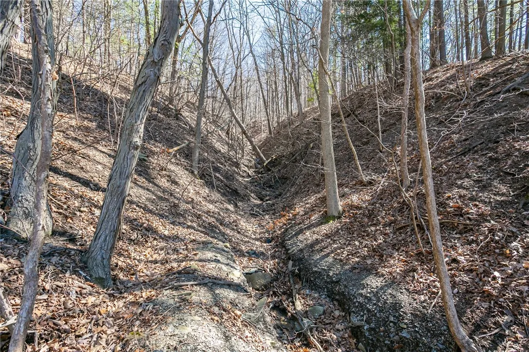 4551 State Route 64, Bristol, New York 14424, Bristol, New York 14424, ,Land,For Sale,4551 State Route 64, Bristol, New York 14424,R1621687