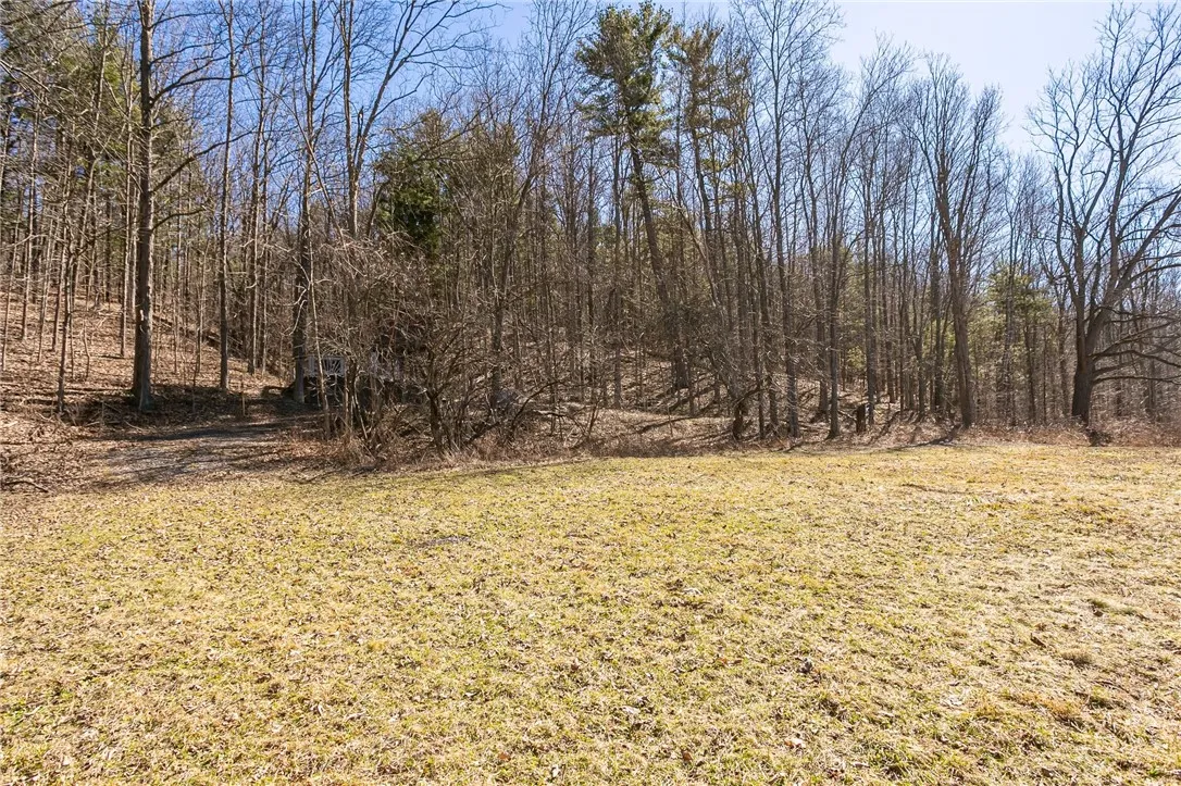 4551 State Route 64, Bristol, New York 14424, Bristol, New York 14424, ,Land,For Sale,4551 State Route 64, Bristol, New York 14424,R1621687