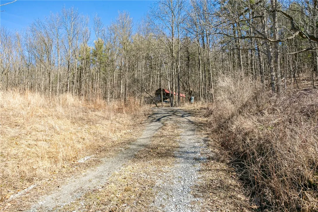 4551 State Route 64, Bristol, New York 14424, Bristol, New York 14424, ,Land,For Sale,4551 State Route 64, Bristol, New York 14424,R1621687