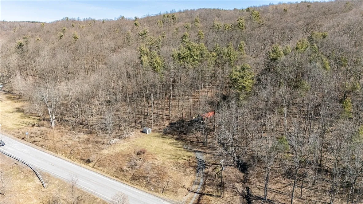 4551 State Route 64, Bristol, New York 14424, Bristol, New York 14424, ,Land,For Sale,4551 State Route 64, Bristol, New York 14424,R1621687