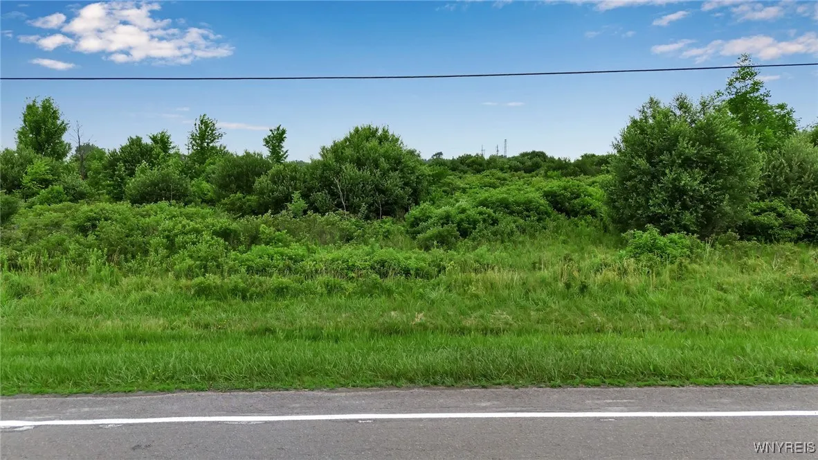 5821 Royalton Center Road, Royalton, New York 1410, Royalton, New York 14105, ,Land,For Sale,5821 Royalton Center Road, Royalton, New York 1410,B1621692