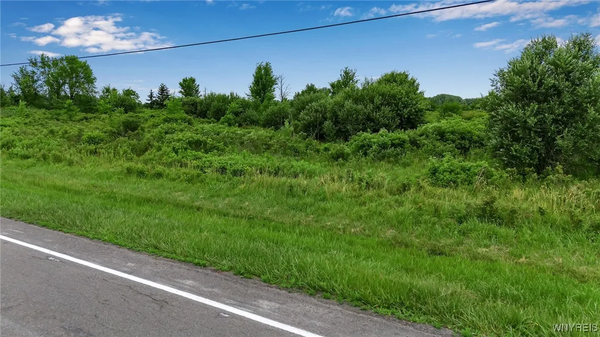 5821 Royalton Center Road, Royalton, New York 1410, Royalton, New York 14105, ,Land,For Sale,5821 Royalton Center Road, Royalton, New York 1410,B1621692