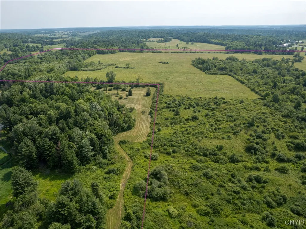 26367 Old State Road, Alexandria, New York 13679, Alexandria, New York 13679, 3 Bedrooms Bedrooms, 5 Rooms Rooms,1 BathroomBathrooms,Residential,For Sale,26367 Old State Road, Alexandria, New York 13679,S1621517