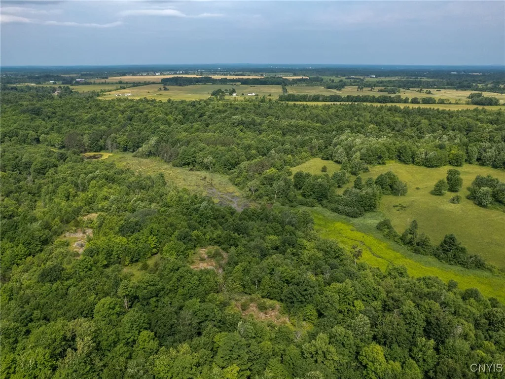 26367 Old State Road, Alexandria, New York 13679, Alexandria, New York 13679, 3 Bedrooms Bedrooms, 5 Rooms Rooms,1 BathroomBathrooms,Residential,For Sale,26367 Old State Road, Alexandria, New York 13679,S1621517
