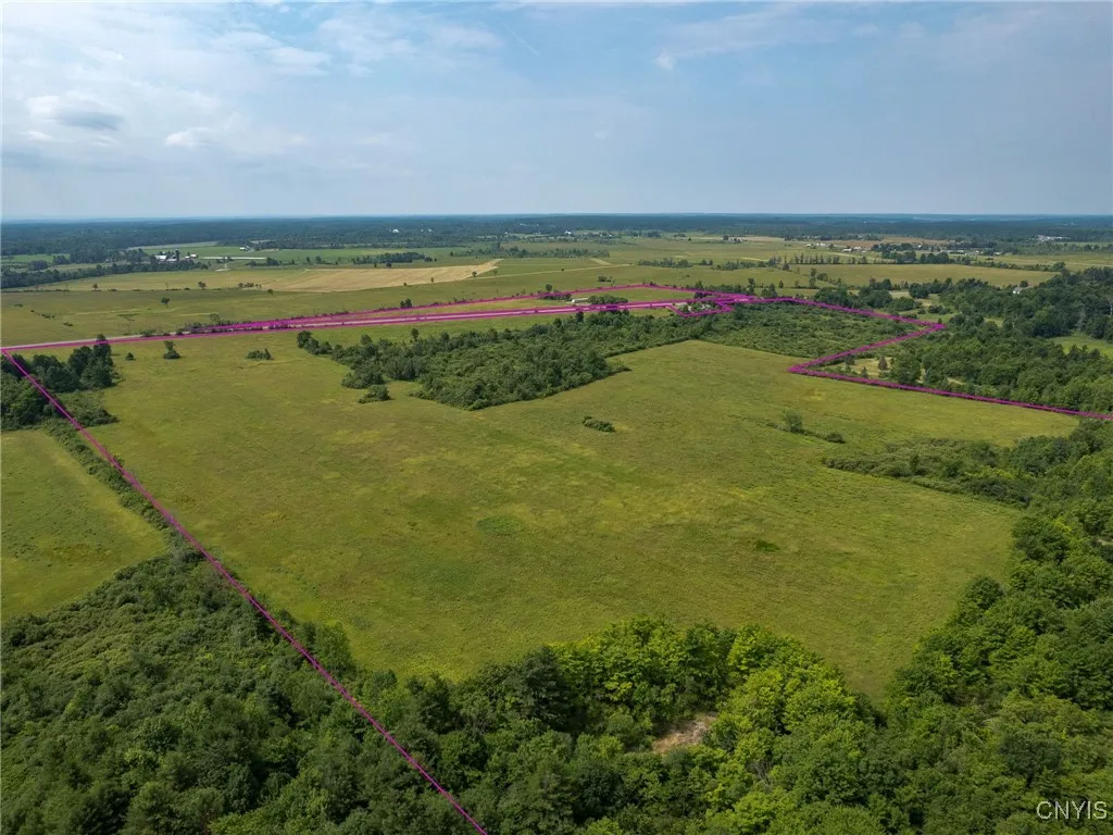 26367 Old State Road, Alexandria, New York 13679, Alexandria, New York 13679, 3 Bedrooms Bedrooms, 5 Rooms Rooms,1 BathroomBathrooms,Residential,For Sale,26367 Old State Road, Alexandria, New York 13679,S1621517