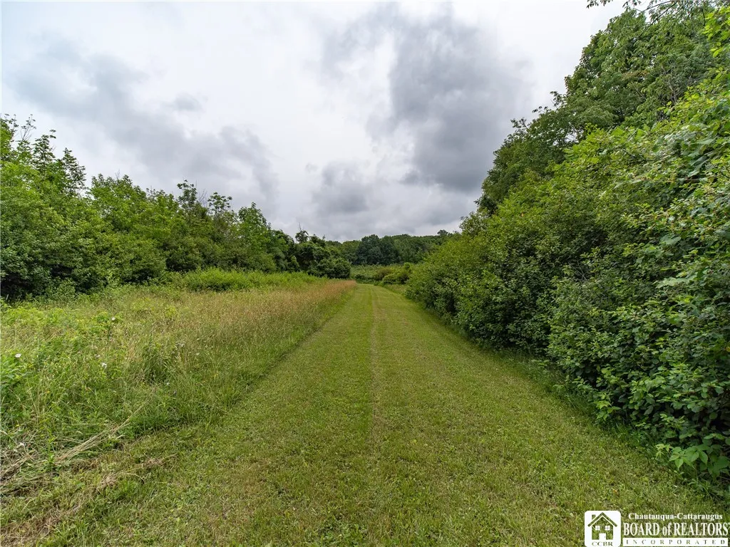 8800 Harmon Hill Road, Pomfret, New York 14063, Pomfret, New York 14063, 2 Bedrooms Bedrooms, 6 Rooms Rooms,1 BathroomBathrooms,Residential,For Sale,8800 Harmon Hill Road, Pomfret, New York 14063,R1621501