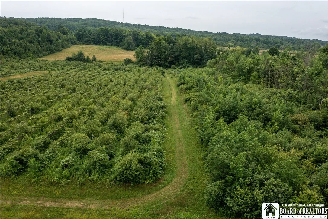 8800 Harmon Hill Road, Pomfret, New York 14063, Pomfret, New York 14063, 2 Bedrooms Bedrooms, 6 Rooms Rooms,1 BathroomBathrooms,Residential,For Sale,8800 Harmon Hill Road, Pomfret, New York 14063,R1621501