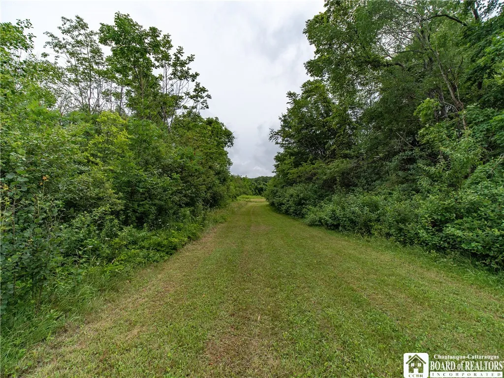 8800 Harmon Hill Road, Pomfret, New York 14063, Pomfret, New York 14063, 2 Bedrooms Bedrooms, 6 Rooms Rooms,1 BathroomBathrooms,Residential,For Sale,8800 Harmon Hill Road, Pomfret, New York 14063,R1621501