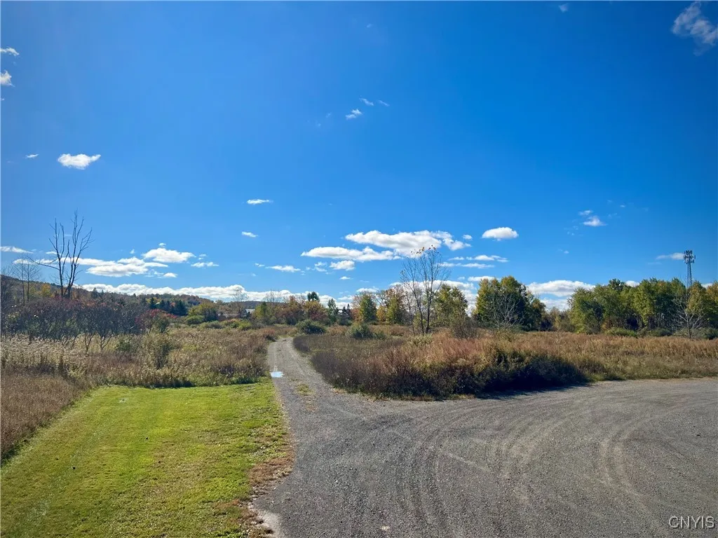819 Route 13, Cortland, New York 13045, Cortland, New York 13045, ,Land,For Sale,819 Route 13, Cortland, New York 13045,S1621749