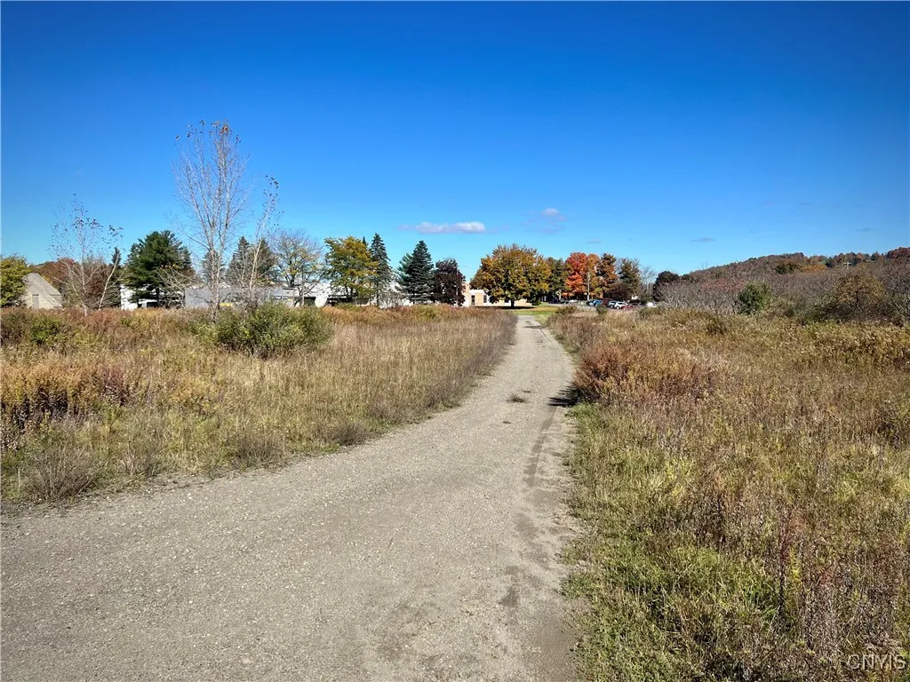 819 Route 13, Cortland, New York 13045, Cortland, New York 13045, ,Land,For Sale,819 Route 13, Cortland, New York 13045,S1621749