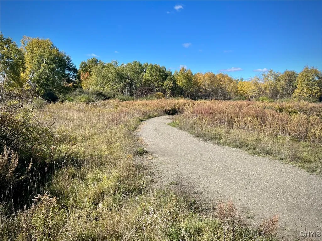 819 Route 13, Cortland, New York 13045, Cortland, New York 13045, ,Land,For Sale,819 Route 13, Cortland, New York 13045,S1621749
