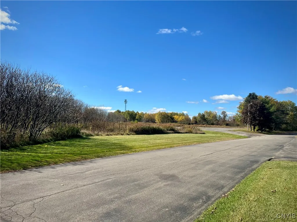 819 Route 13, Cortland, New York 13045, Cortland, New York 13045, ,Land,For Sale,819 Route 13, Cortland, New York 13045,S1621749