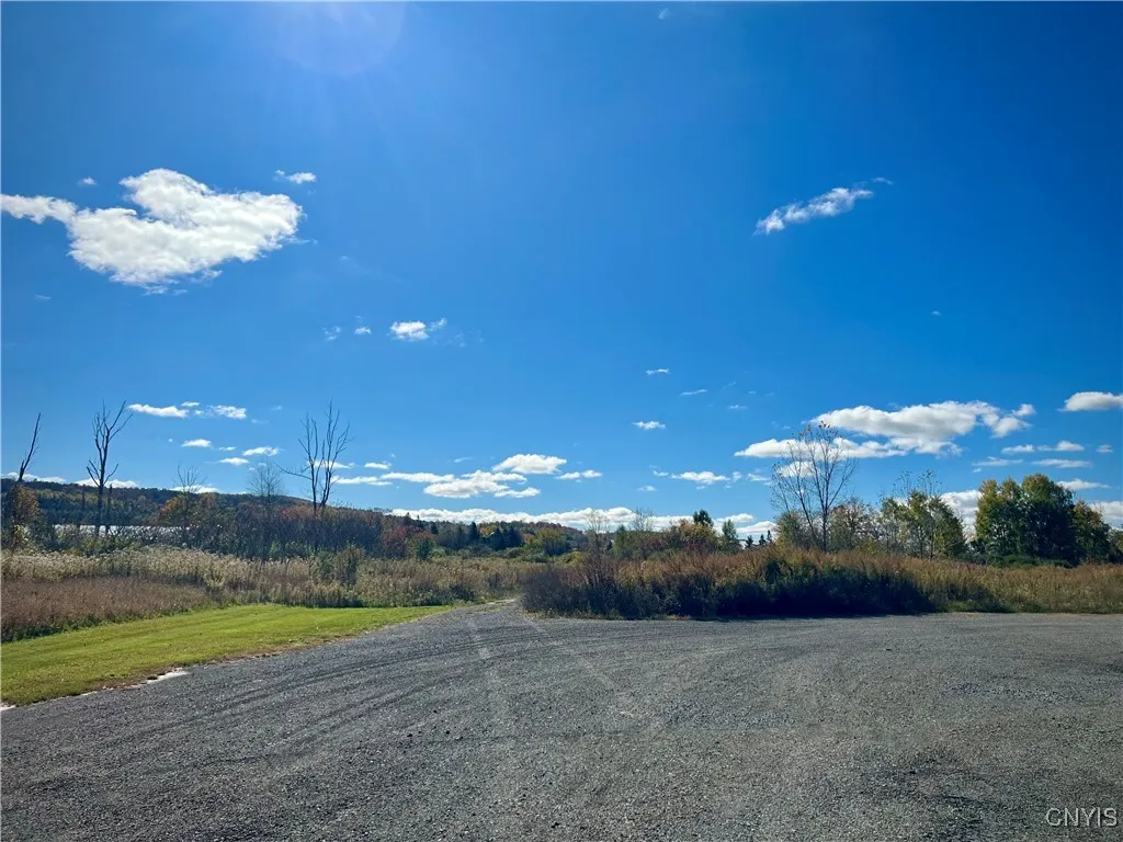 819 Route 13, Cortland, New York 13045, Cortland, New York 13045, ,Land,For Sale,819 Route 13, Cortland, New York 13045,S1621749