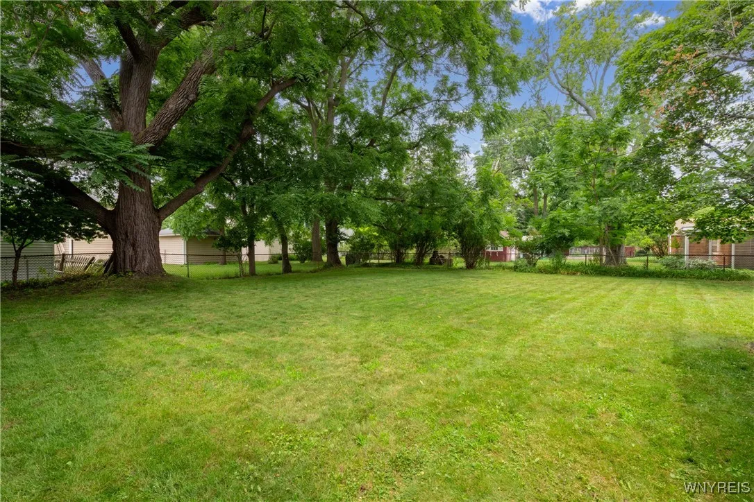 Really nice backyard with a great tree!  It's really a pretty private setting.