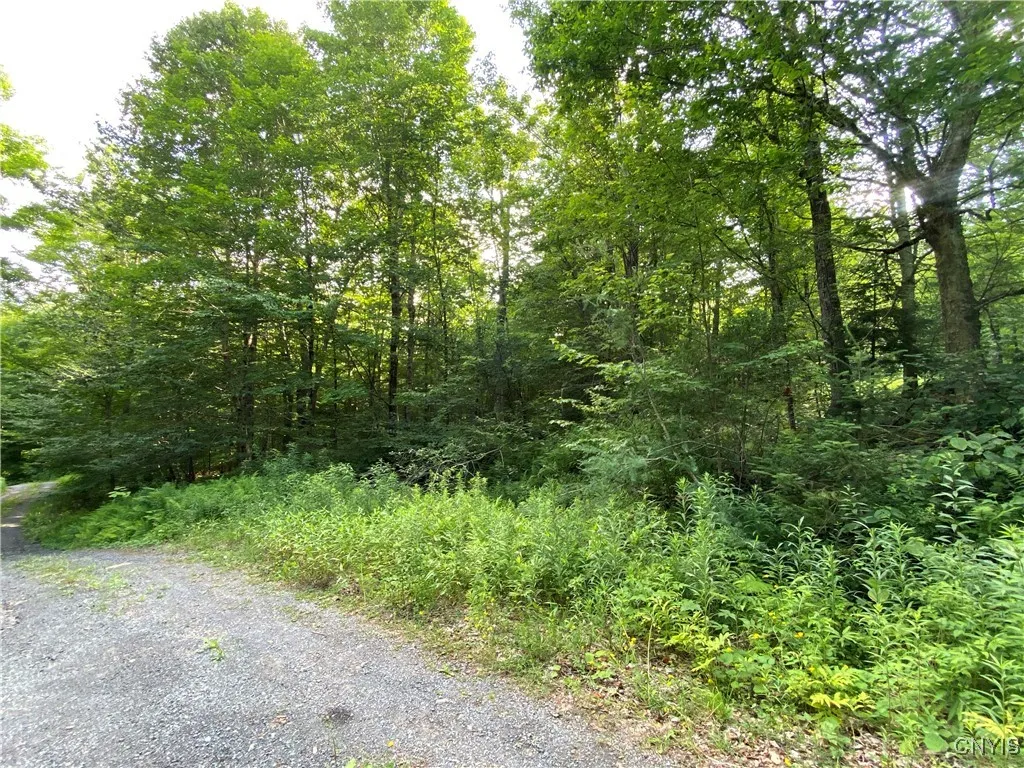 0 State Route 28, Webb, New York 13472, Webb, New York 13472, ,Land,For Sale,0 State Route 28, Webb, New York 13472,S1621323