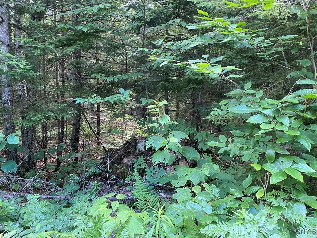 0 State Route 28, Webb, New York 13472, Webb, New York 13472, ,Land,For Sale,0 State Route 28, Webb, New York 13472,S1621323