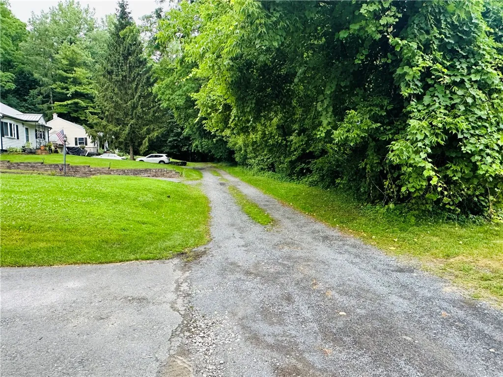 The view looking north from the end of your driveway.