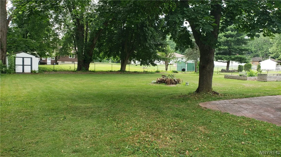 Spacious yard
