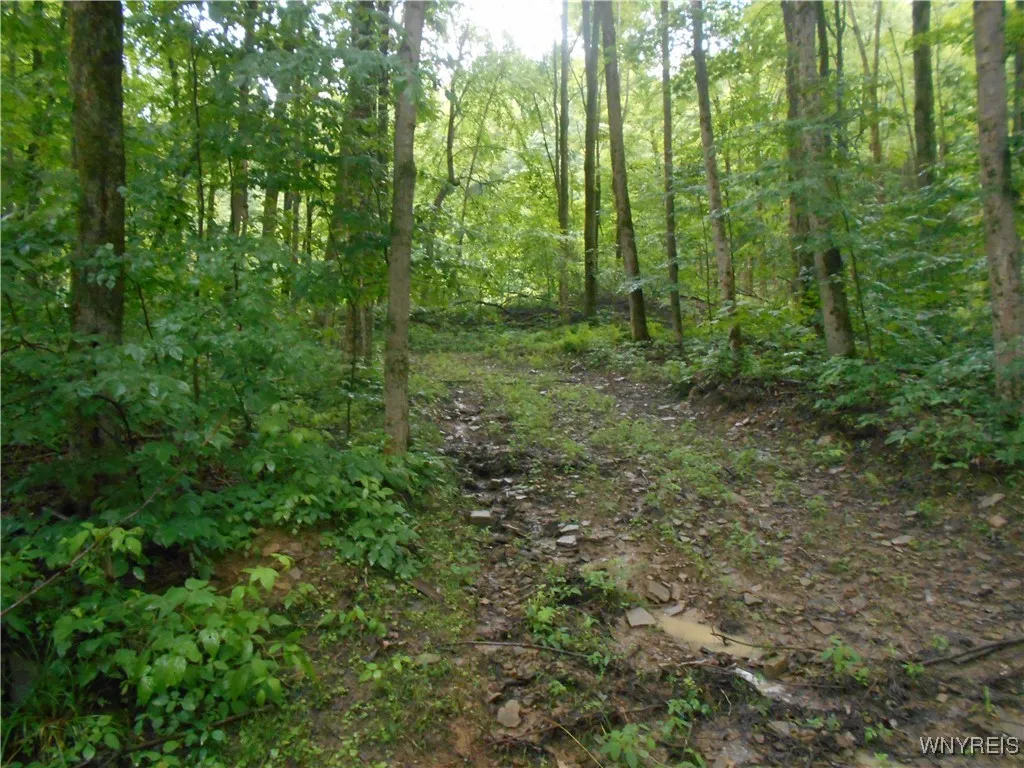 Off Rt-98, Franklinville, New York 14737, Franklinville, New York 14737, ,Land,For Sale,Off Rt-98, Franklinville, New York 14737,B1621188