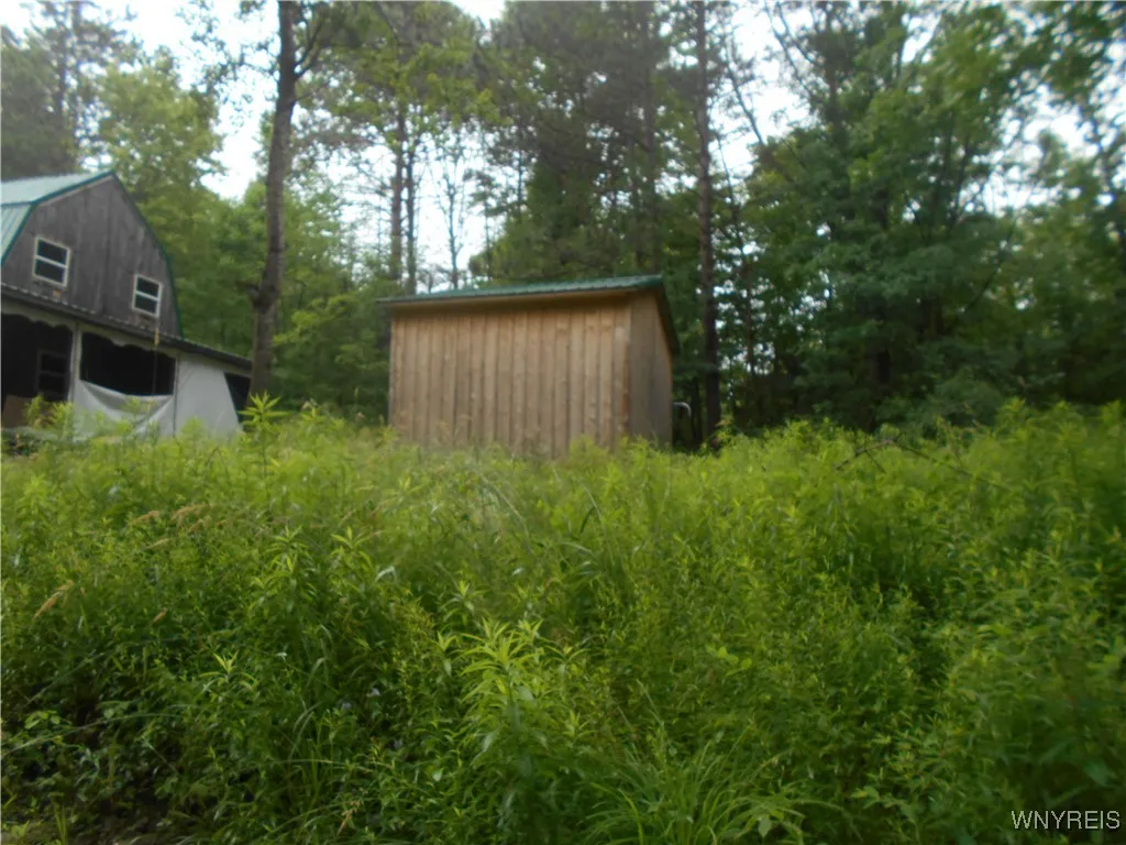 Off Rt-98, Franklinville, New York 14737, Franklinville, New York 14737, ,Land,For Sale,Off Rt-98, Franklinville, New York 14737,B1621188