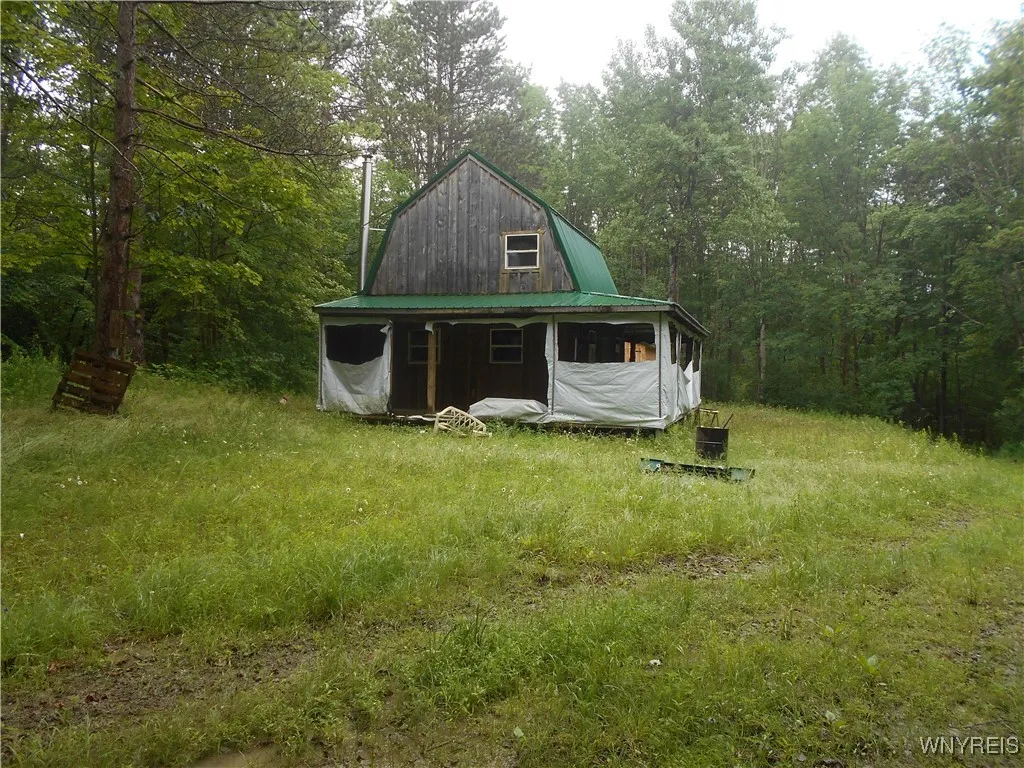 Off Rt-98, Franklinville, New York 14737, Franklinville, New York 14737, ,Land,For Sale,Off Rt-98, Franklinville, New York 14737,B1621188