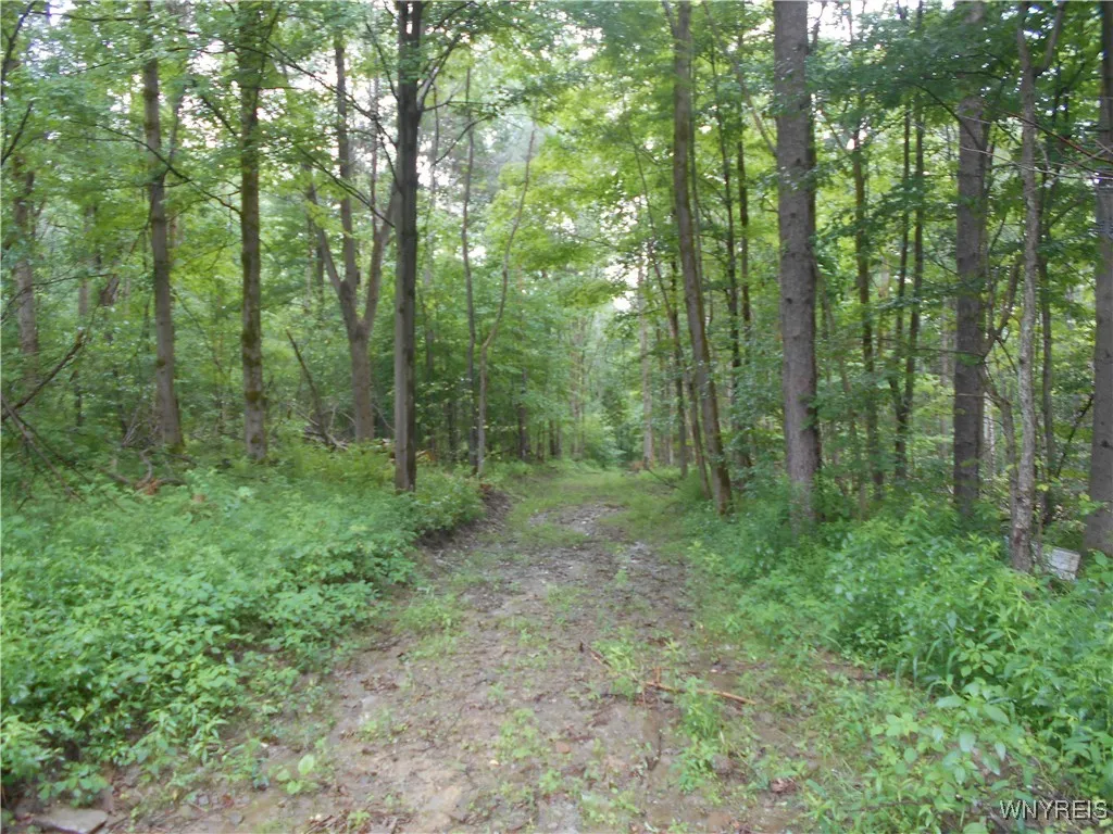 Off Rt-98, Franklinville, New York 14737, Franklinville, New York 14737, ,Land,For Sale,Off Rt-98, Franklinville, New York 14737,B1621188