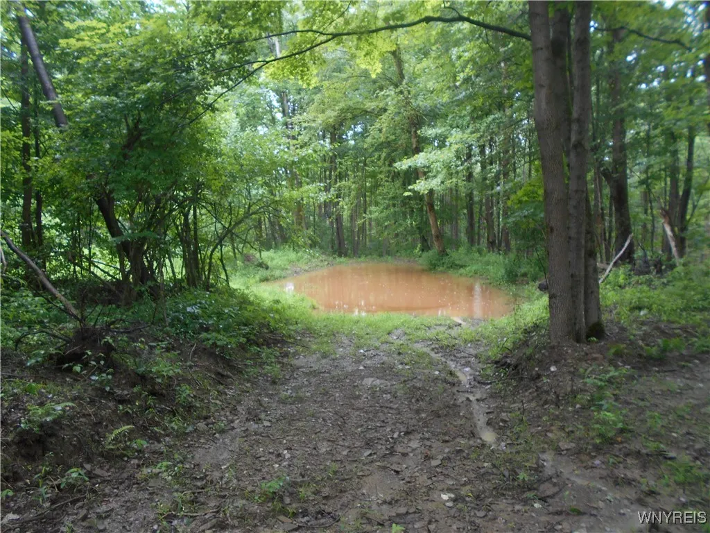 Off Rt-98, Franklinville, New York 14737, Franklinville, New York 14737, ,Land,For Sale,Off Rt-98, Franklinville, New York 14737,B1621188
