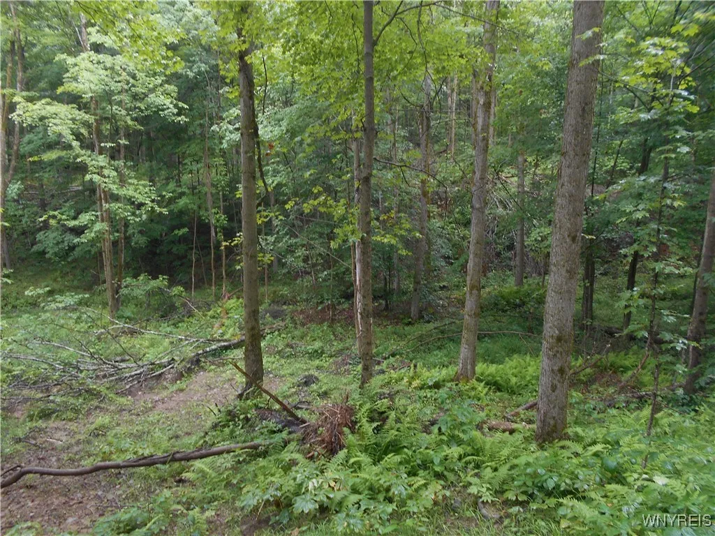 Off Rt-98, Franklinville, New York 14737, Franklinville, New York 14737, ,Land,For Sale,Off Rt-98, Franklinville, New York 14737,B1621188