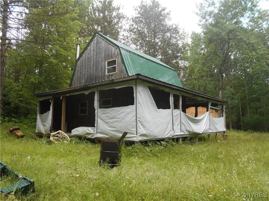 Off Rt-98, Franklinville, New York 14737, Franklinville, New York 14737, ,Land,For Sale,Off Rt-98, Franklinville, New York 14737,B1621188