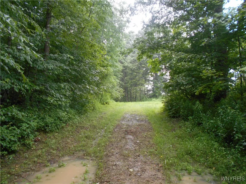 Off Rt-98, Franklinville, New York 14737, Franklinville, New York 14737, ,Land,For Sale,Off Rt-98, Franklinville, New York 14737,B1621188
