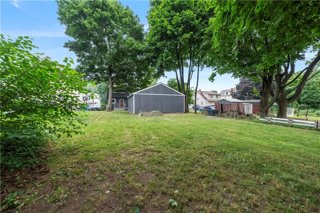 large back yard