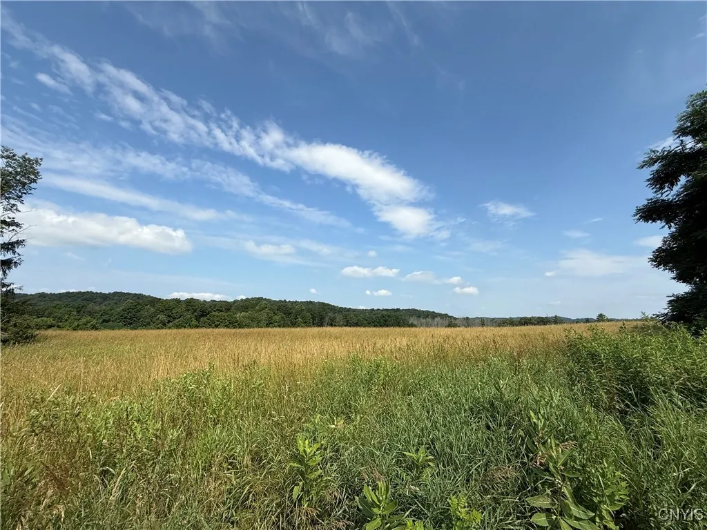2359 Sands Road, Camillus, New York 13031, Camillus, New York 13031, 3 Bedrooms Bedrooms, ,1 BathroomBathrooms,Land,For Sale,2359 Sands Road, Camillus, New York 13031,S1621297
