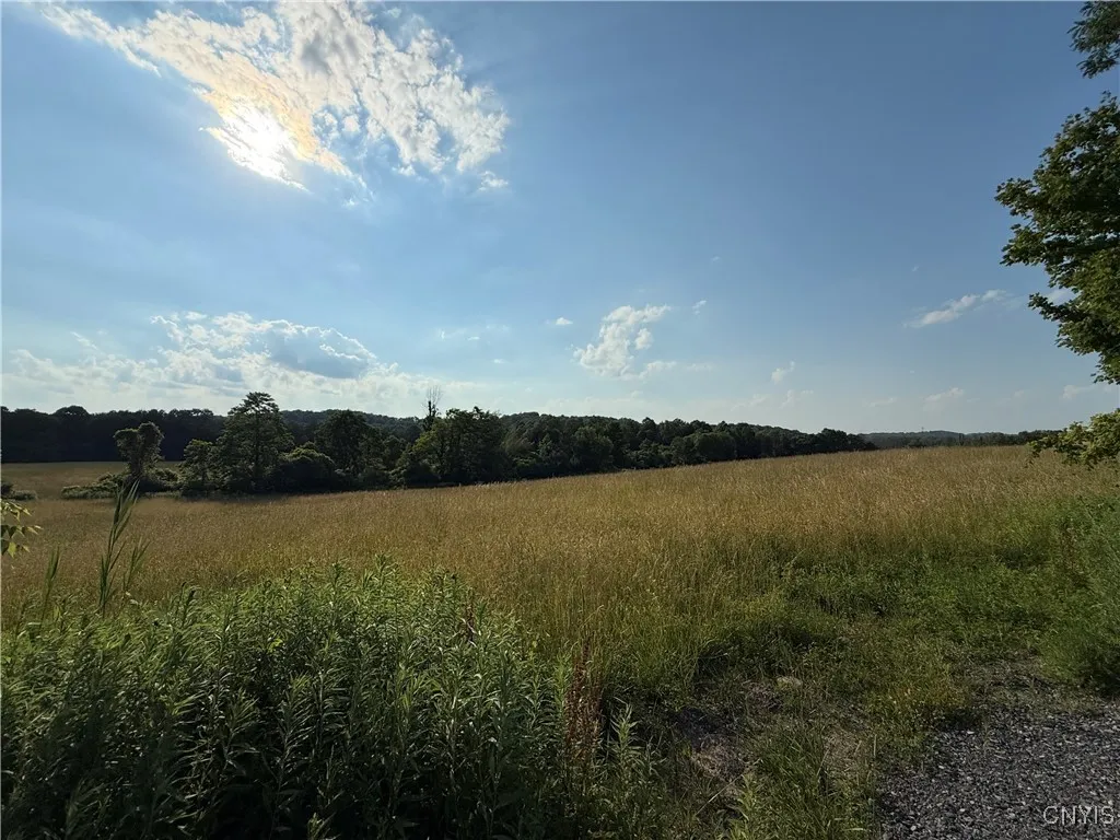 2359 Sands Road, Camillus, New York 13031, Camillus, New York 13031, 3 Bedrooms Bedrooms, ,1 BathroomBathrooms,Land,For Sale,2359 Sands Road, Camillus, New York 13031,S1621297
