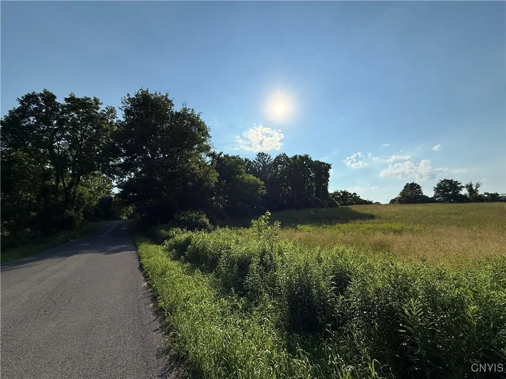 2359 Sands Road, Camillus, New York 13031, Camillus, New York 13031, 3 Bedrooms Bedrooms, ,1 BathroomBathrooms,Land,For Sale,2359 Sands Road, Camillus, New York 13031,S1621297
