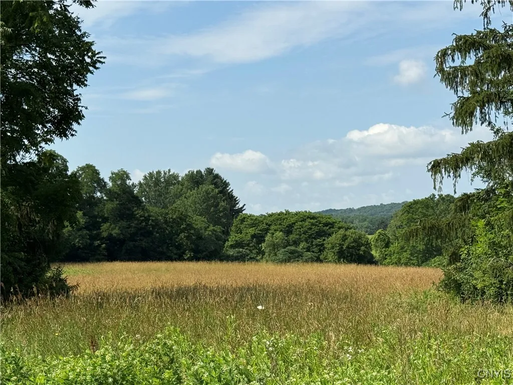 2359 Sands Road, Camillus, New York 13031, Camillus, New York 13031, 3 Bedrooms Bedrooms, ,1 BathroomBathrooms,Land,For Sale,2359 Sands Road, Camillus, New York 13031,S1621297